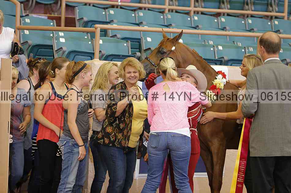 Proof Number 14yn_slideshow_06159