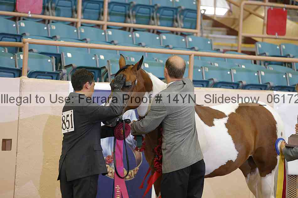 Proof Number 14yn_slideshow_06172