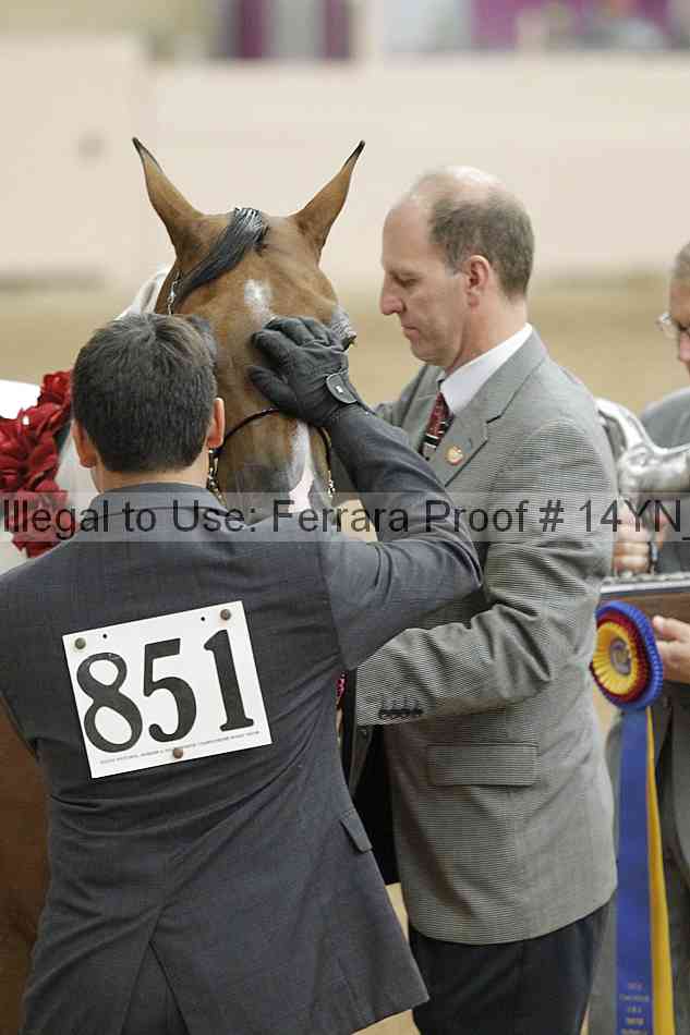 Proof Number 14yn_slideshow_06173