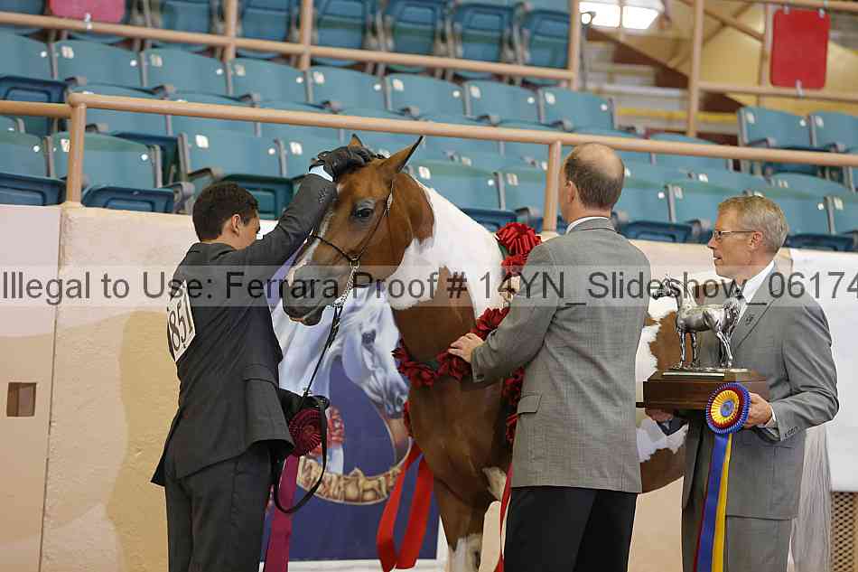 Proof Number 14yn_slideshow_06174