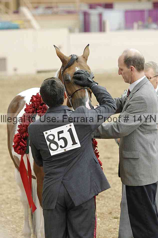 Proof Number 14yn_slideshow_06175