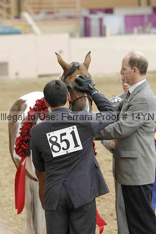 Proof Number 14yn_slideshow_06176