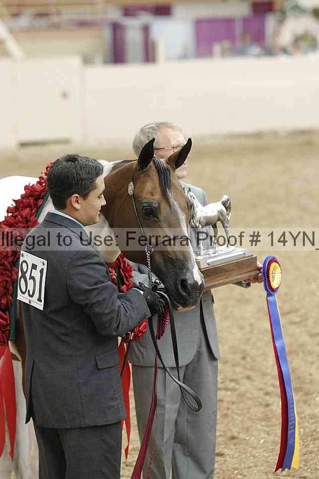 Proof Number 14yn_slideshow_06177