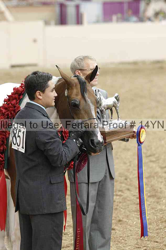 Proof Number 14yn_slideshow_06179