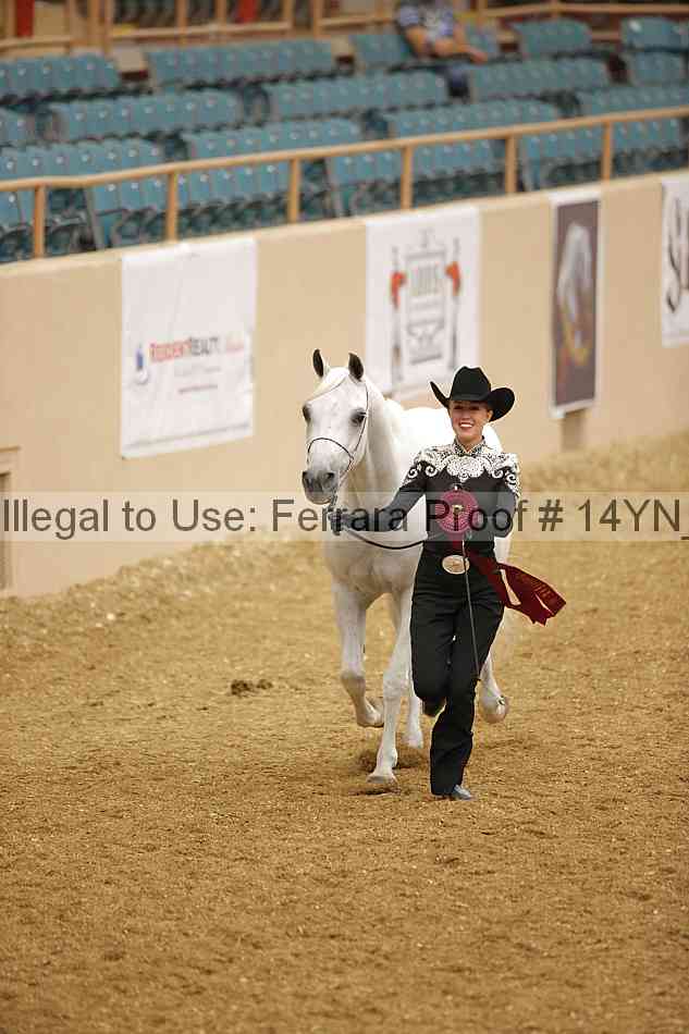 Proof Number 14yn_slideshow_06193