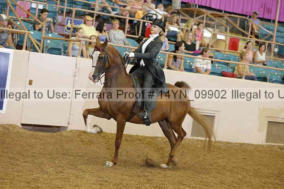 Proof Number 14yn_09902