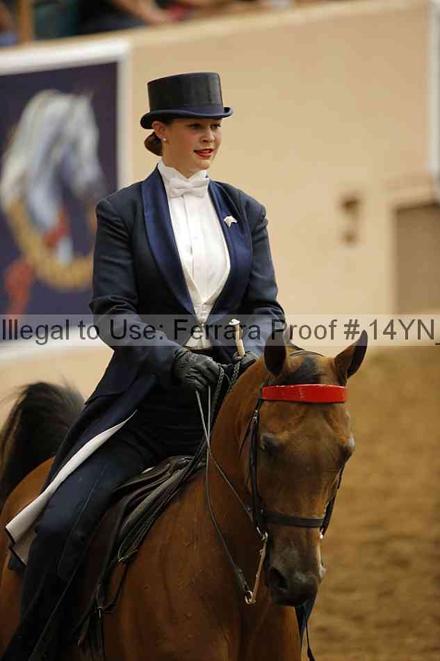 Proof Number 14yn_09906