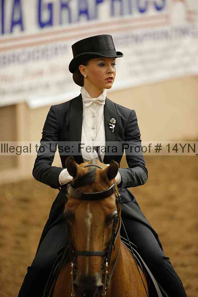 Proof Number 14yn_09911