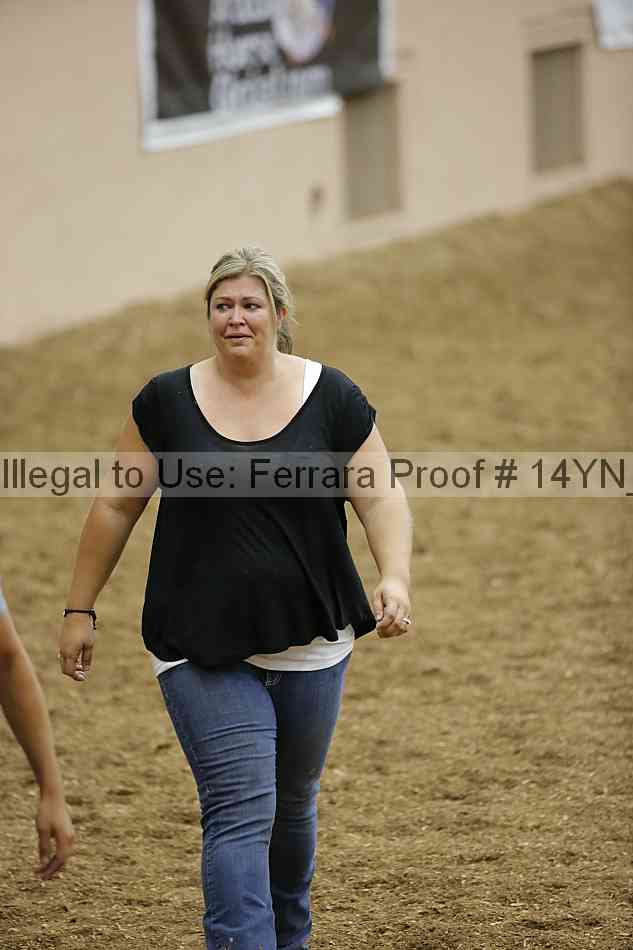 Proof Number 14yn_10048