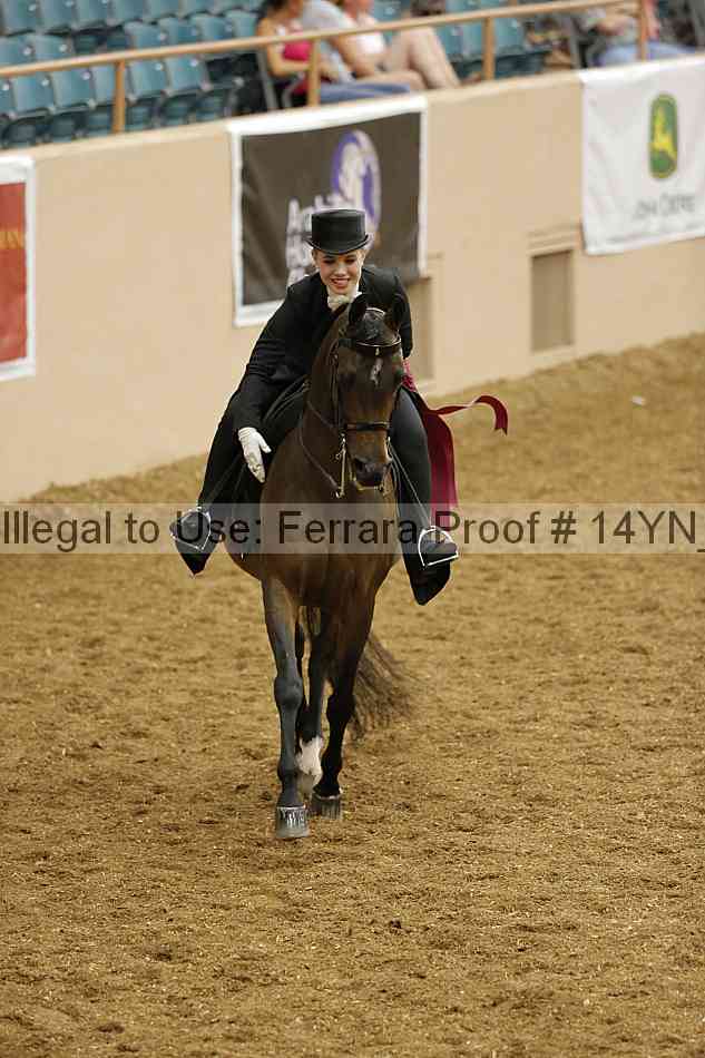 Proof Number 14yn_10077