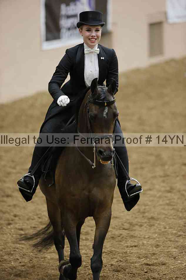 Proof Number 14yn_10078