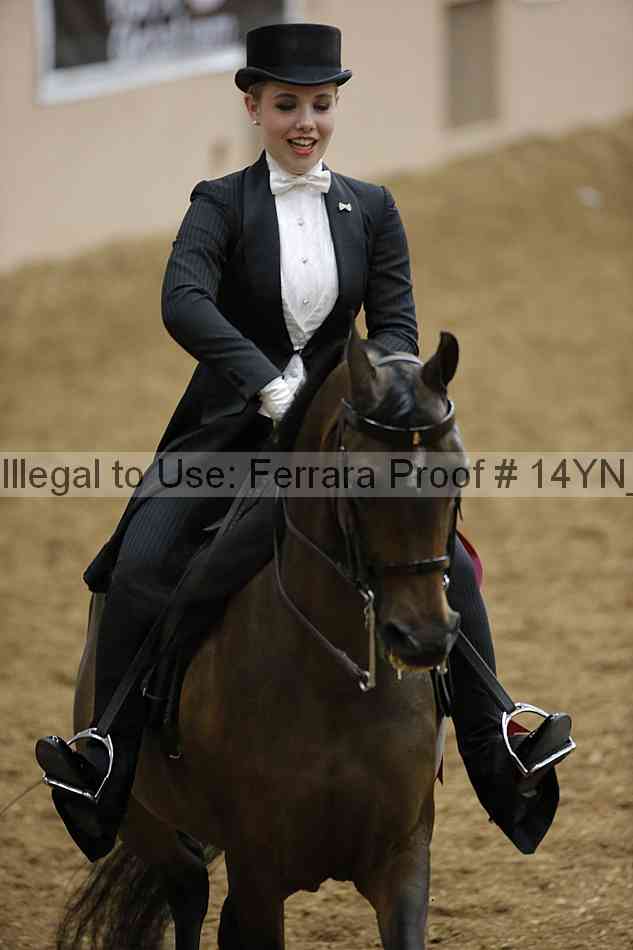 Proof Number 14yn_10079