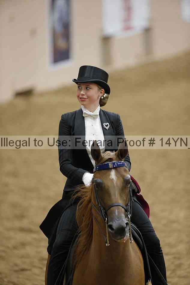 Proof Number 14yn_10084