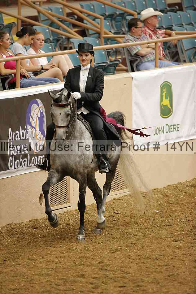 Proof Number 14yn_10085