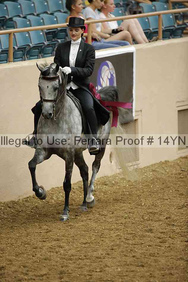 Proof Number 14yn_10086