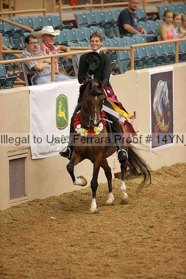 Proof Number 14yn_10096