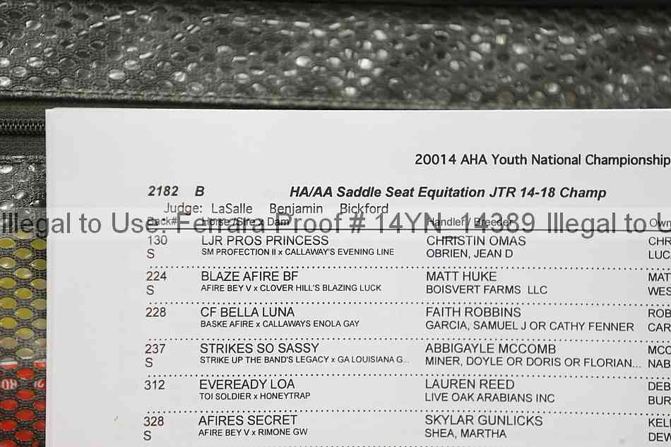 Proof Number 14yn_14389
