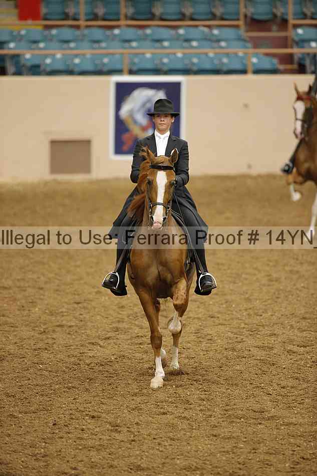 Proof Number 14yn_14446
