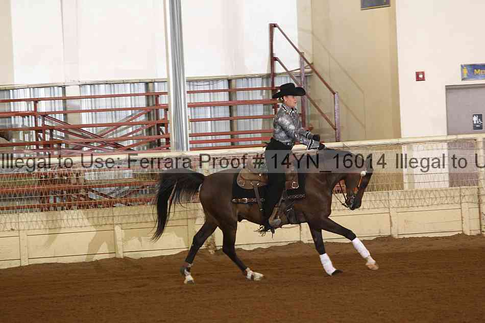 Proof Number 14yn_16014