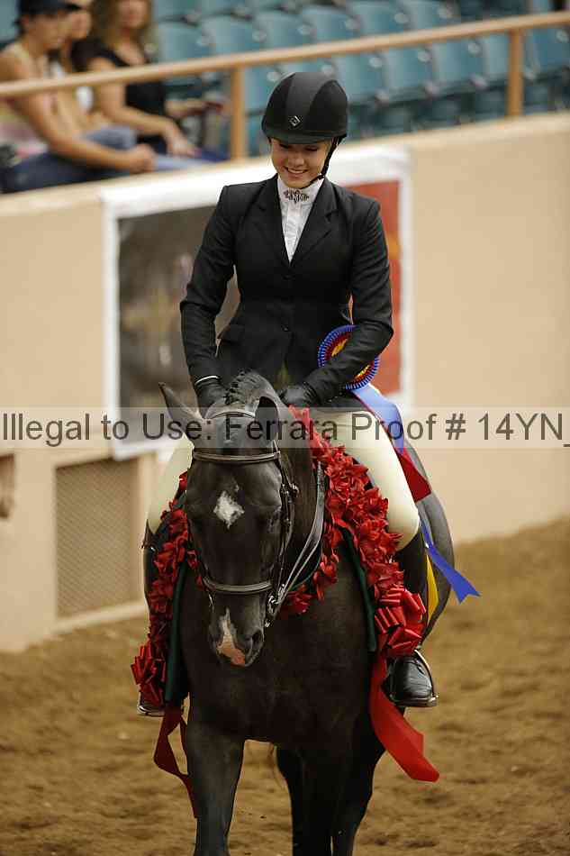 Proof Number 14yn_22608