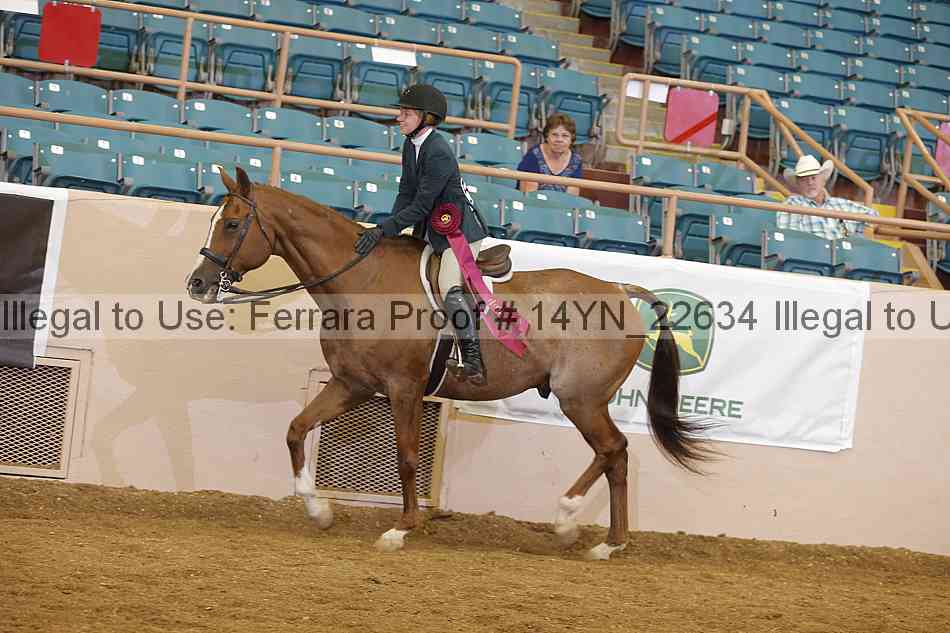 Proof Number 14yn_22634