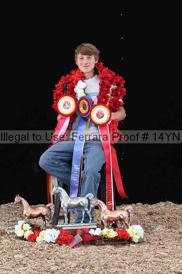 Proof Number 14yn_24539