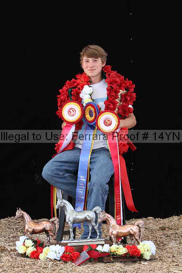Proof Number 14yn_24540