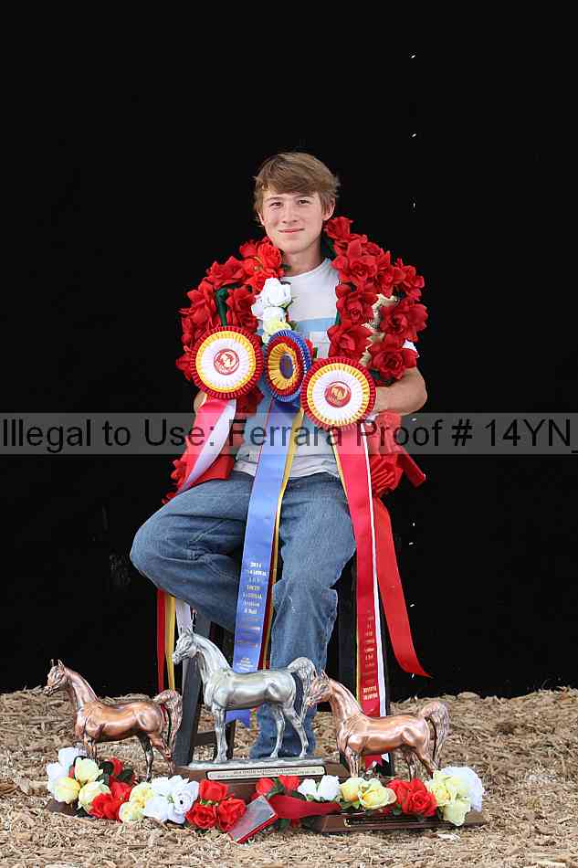 Proof Number 14yn_24541