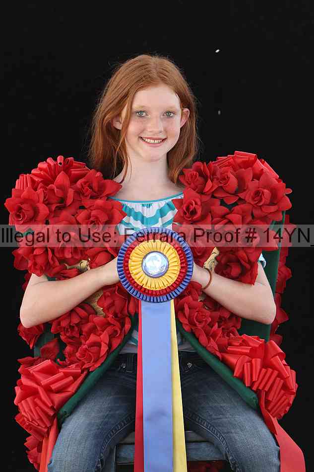 Proof Number 14yn_26380