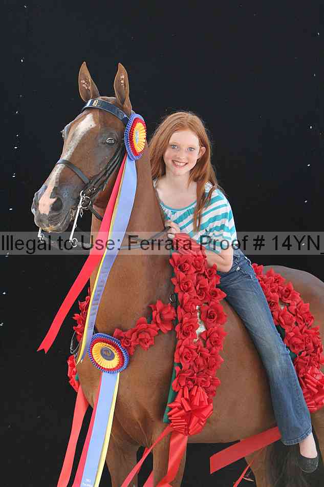 Proof Number 14yn_26408