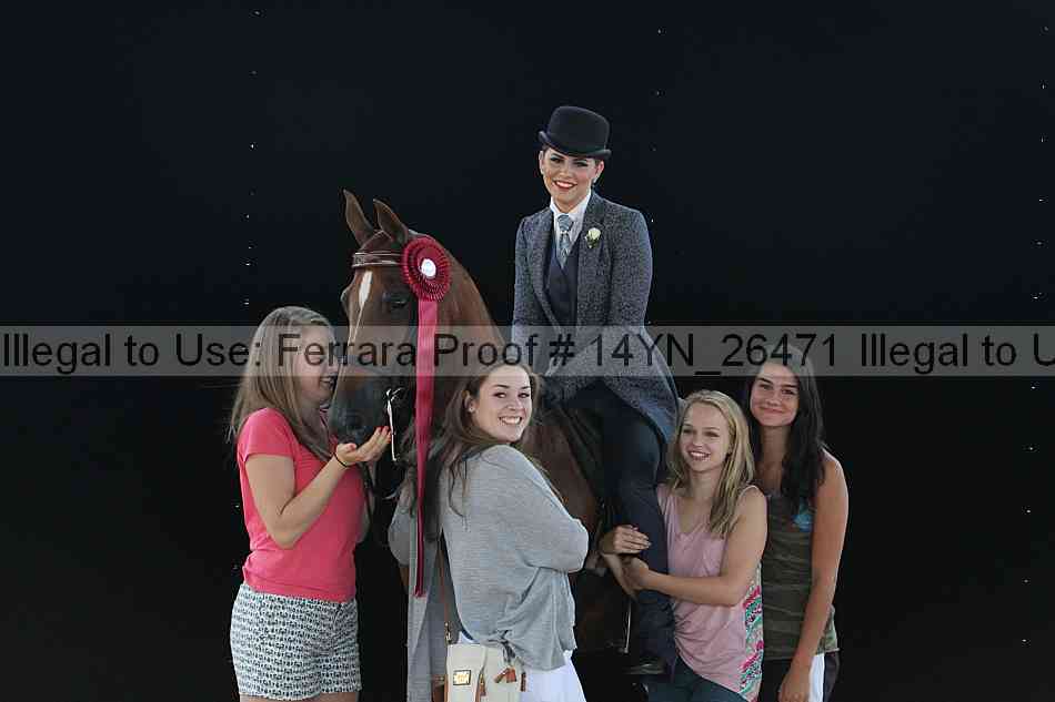 Proof Number 14yn_26471