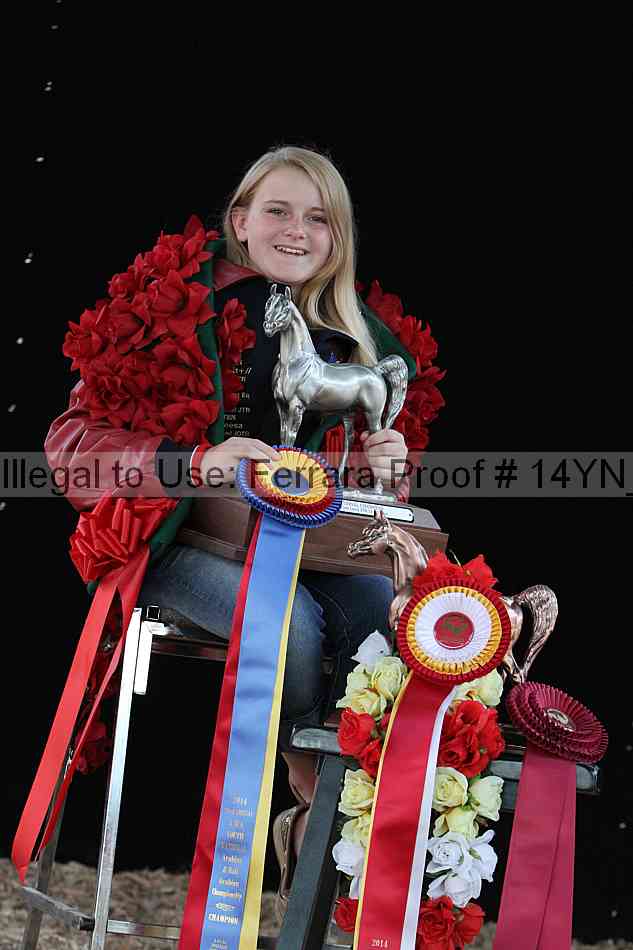 Proof Number 14yn_26862