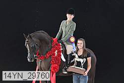 14yn_29760 thumbnail