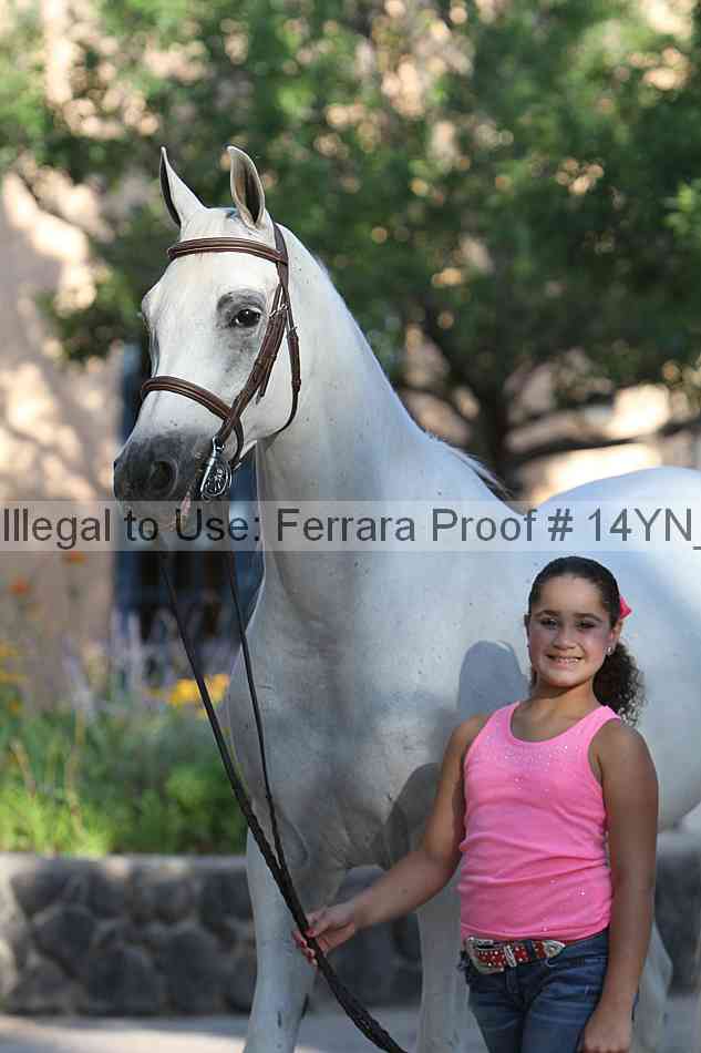 Proof Number 14yn_27113