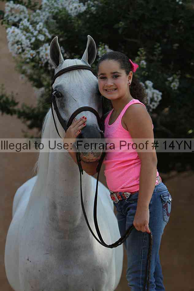 Proof Number 14yn_27146