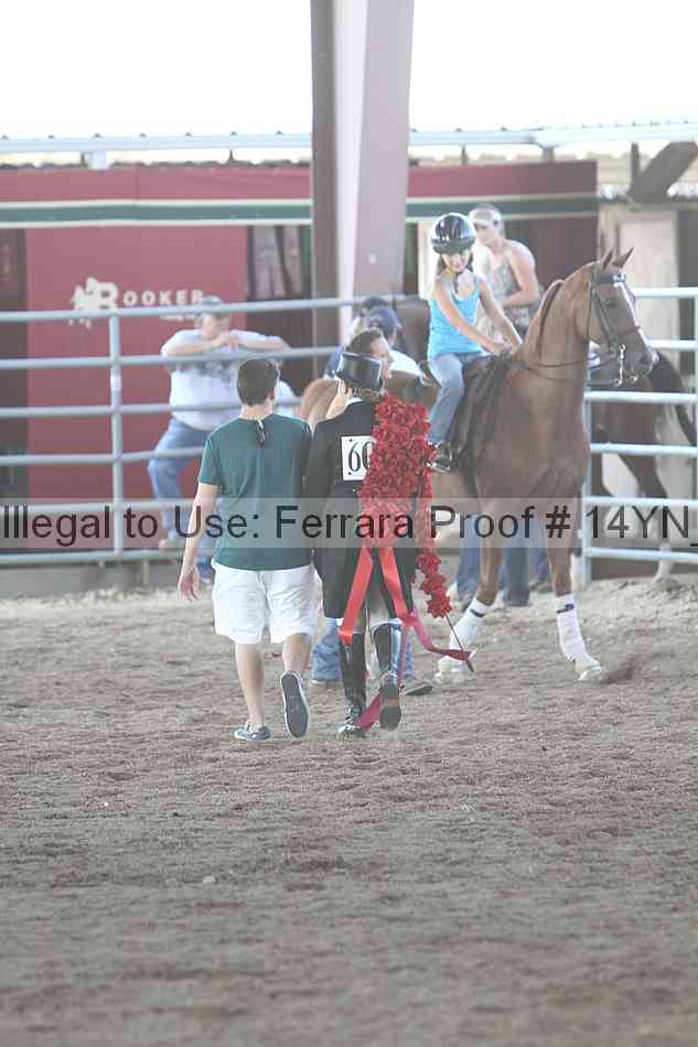 Proof Number 14yn_20570