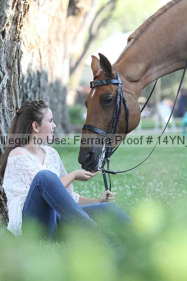 Proof Number 14yn_17394