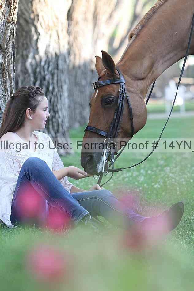 Proof Number 14yn_17396