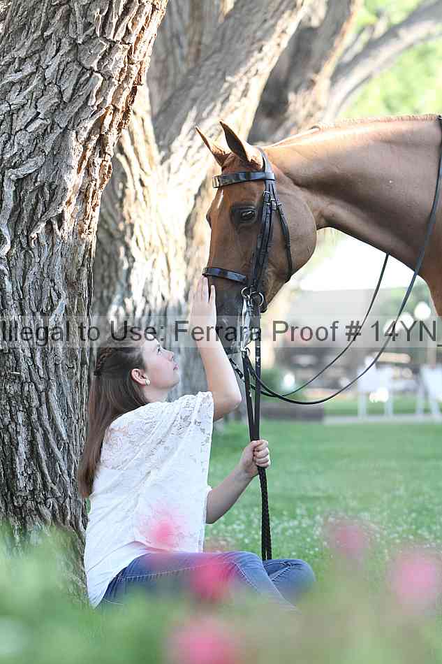 Proof Number 14yn_17407
