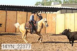 14yn_22377 thumbnail