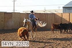 14yn_22378 thumbnail