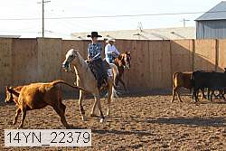 14yn_22379 thumbnail