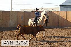 14yn_22380 thumbnail