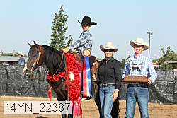 14yn_22387 thumbnail