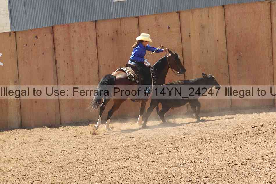 Proof Number 14yn_24247