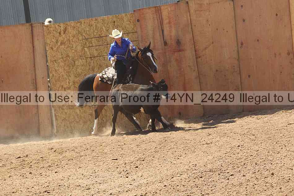 Proof Number 14yn_24249