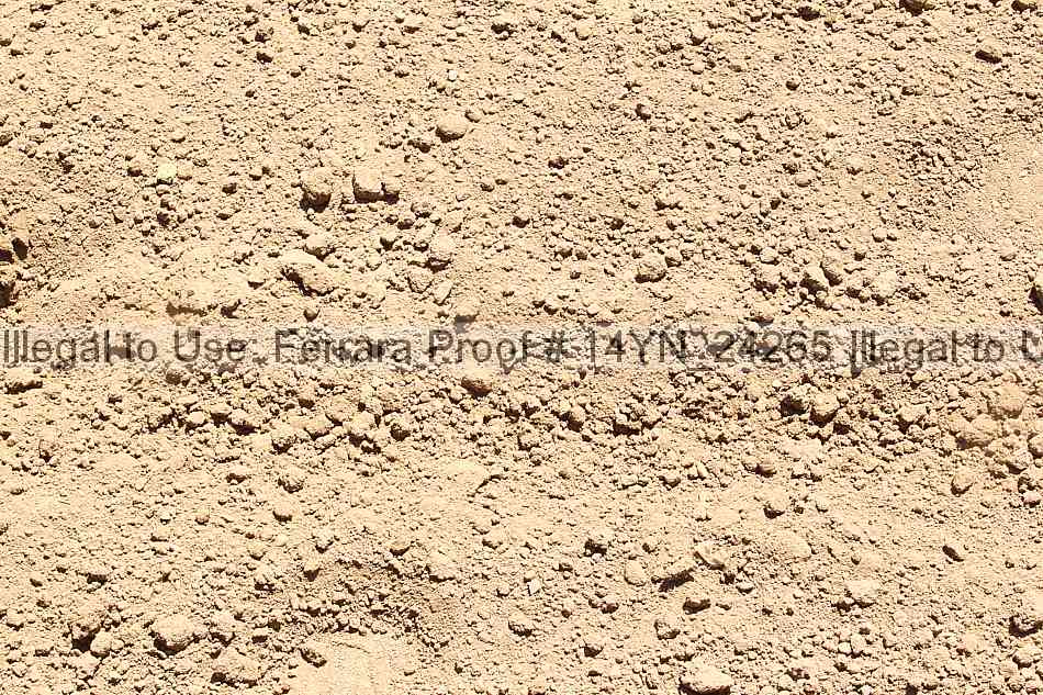 Proof Number 14yn_24265