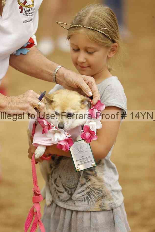 Proof Number 14yn_20844