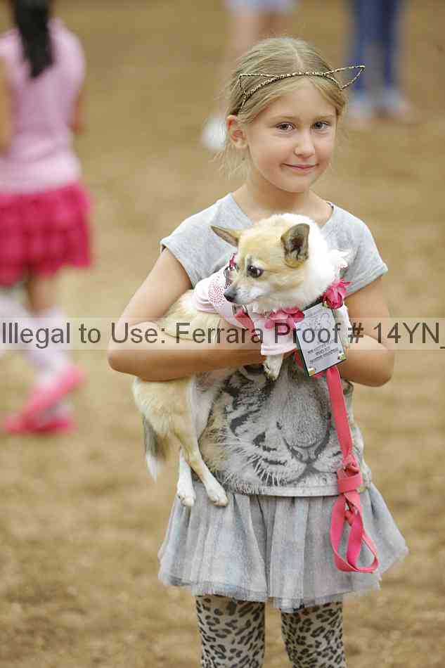 Proof Number 14yn_20848