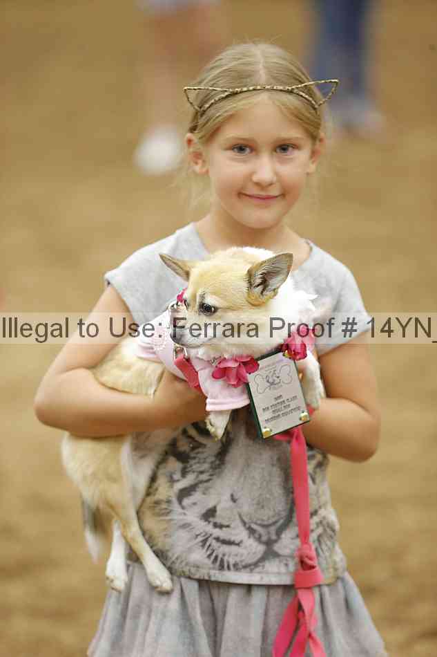 Proof Number 14yn_20850